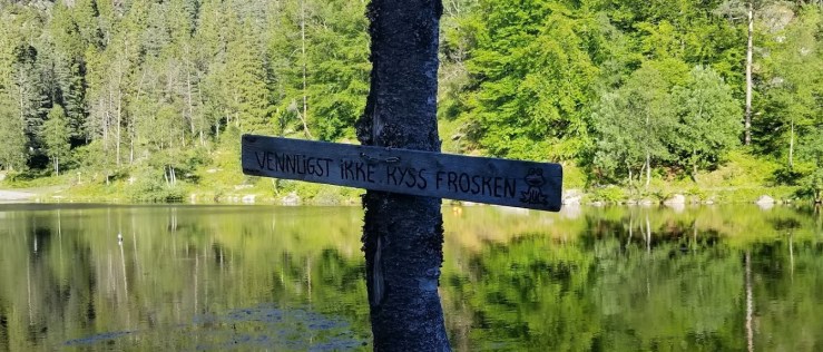 Am I the frog, or am I kissing them? Does it matter?